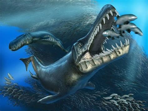 Species New to Science: [Palaeontology • 2011] Neptunidraco ammoniticus ...