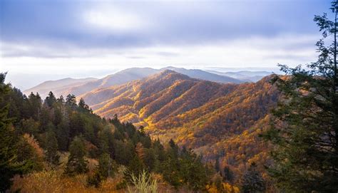 Best Spots for Capturing Fall Foliage in the Smoky Mountains | My Pigeon Forge