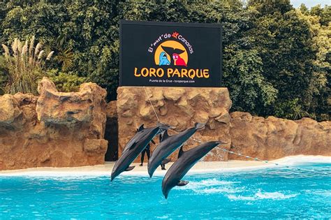 Loro Parque tickets with transport - Loro Park Tenerife