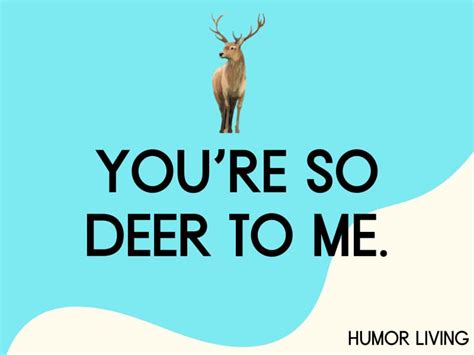 120+ Hilarious Deer Puns to Make You Laugh Doe Hard - Humor Living