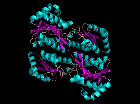 Phosphofructokinase-1: Visual Representations of PFK-1