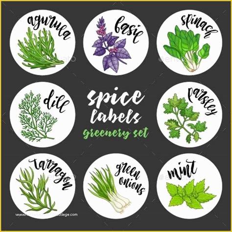 Spice Jar Label Template Free Of 7 Spice Jar Label Templates Free Printable Psd Word ...