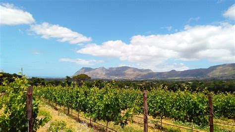 Cape Winelands Private Tour - Cape Town Executive Travel