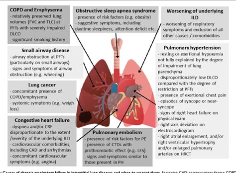 Understanding Chronic Respiratory Failure -Symptoms, Causes, Diagnosis - SPEEDY FREELANCERS