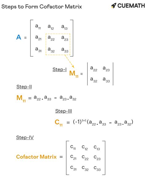 Cofactor Matrix - Formula, Definition, Examples