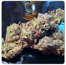 BLUEBERRY YUM YUM STRAIN REVIEW | Real. Functional.