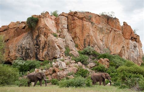 mapungubwe-national-park- | National parks, Africa, South africa