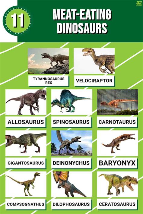 Discover 11 Meat-Eating Dinosaurs - A-Z Animals