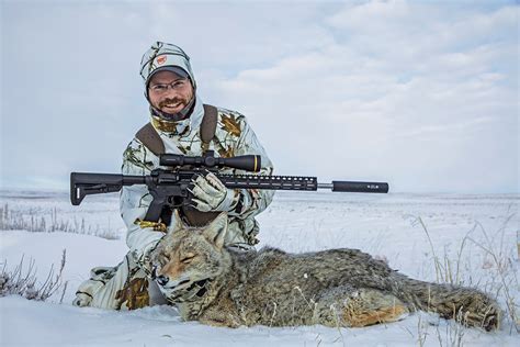 The Best Seven Rounds For Coyotes - Petersen's Hunting