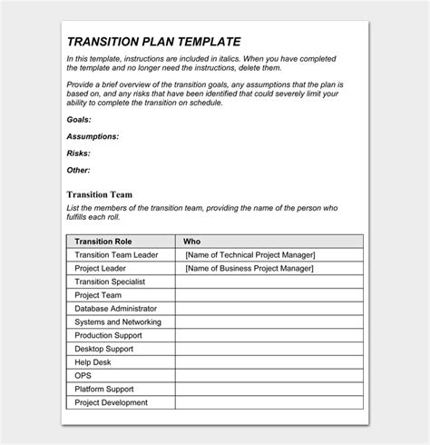 Sample Transition Plan Template