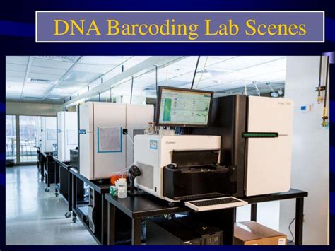 DNA BarcodING IN ANIMALS