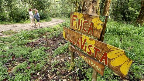 COOL : Percutian Resort Ala Hutan Tropika Di Hutan Costa Rica - Harian Metro Online