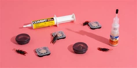 Roach-Proofing Your Home: 3 Tips for Keeping These Pests Out of Your ...