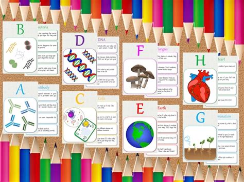 Abcs of Biology Printable Flashcards | Etsy