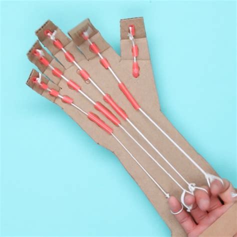 Make Your Own Robotic Hand With This Anatomical DIY | Diy for kids, Fun ...