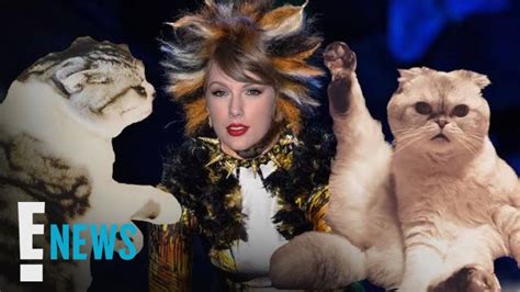 5 Skills Taylor Swift Can Learn From Her Cats for "Cats" Movie | E ...