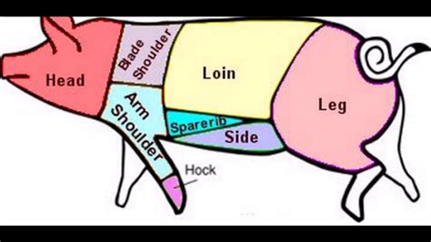 Pig Meat Cuts Chart