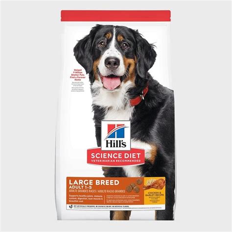 14 Best Large-Breed Dog Foods 2024 — Vet-Recommended Dog Food