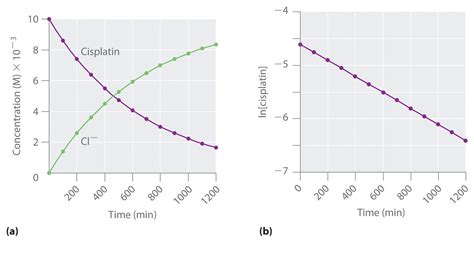 First Order Reaction Graph