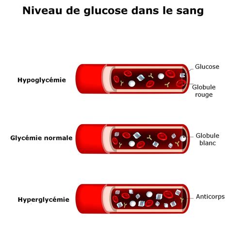 High, Low, Normal, Blood Test