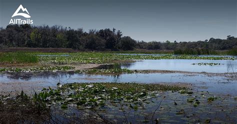 Best Trails in Wekiwa Springs State Park - Florida | AllTrails