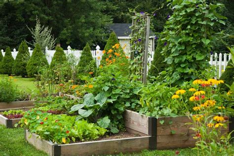 Unique Vegetable Garden Ideas