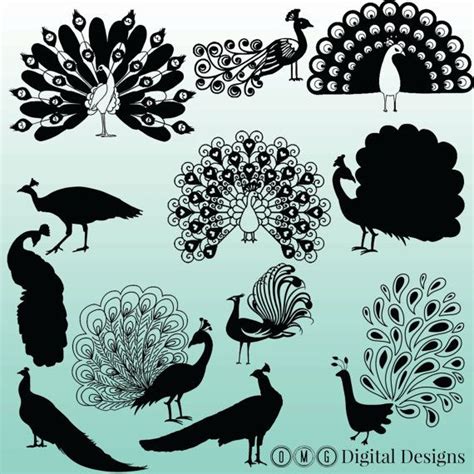 12 Peacock Silhouette Clipart Images Clipart by OMGDIGITALDESIGNS ...