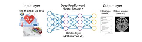 Using artificial neural networks to understand the human brain