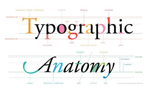 The Anatomy of Letterforms