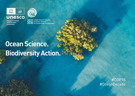 AN OCEAN OF LIFE: Knowledge and Solutions for Marine and Coastal Biodiversity under the Post ...