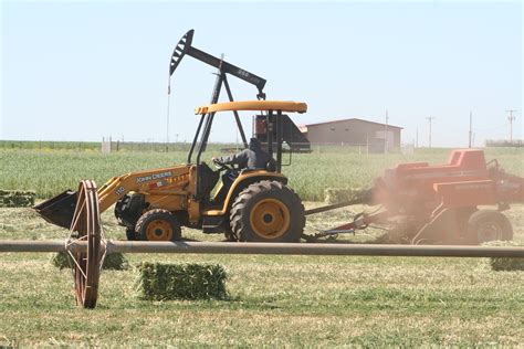 Alfalfa – Newsom Family Farms