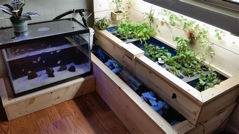 DIY Aquaponics System 2 Indoor - Gardenisto