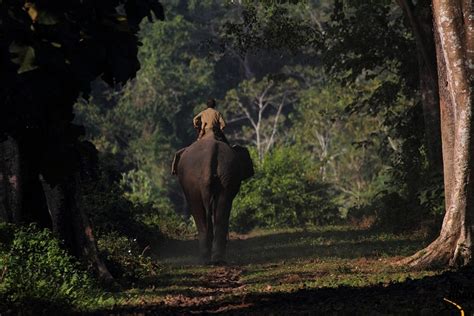 Nameri National Park, Assam - Trans India Travels