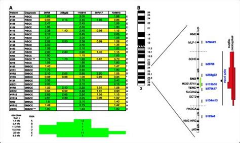 3q26 Amplification and Polysomy of Chromosome 3 in Squamous Cell ...