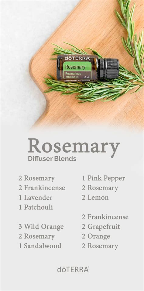 Rosemary Essential Oil Diffuser Blends | Essential oil diffuser blends ...