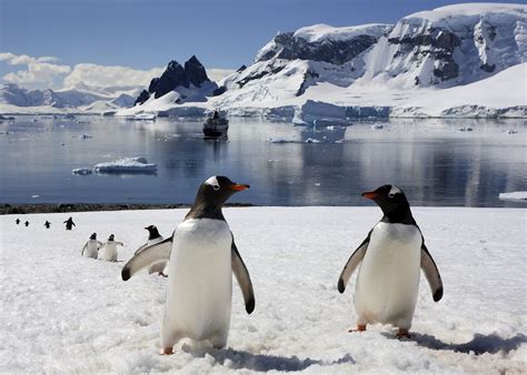 Antarctica Holidays 2025 & 2026 - Tailor-Made from Audley Travel UK