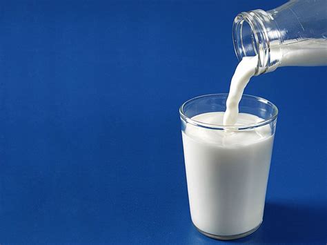 ABCs of Dairy Quiz | Britannica