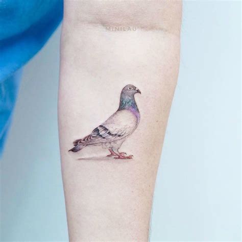 Top more than 76 simple pigeon tattoo latest - in.coedo.com.vn