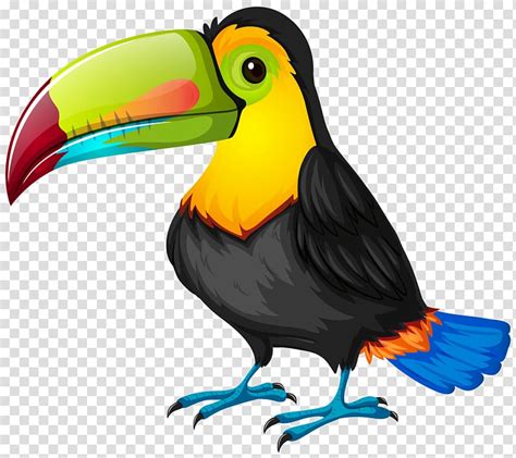 Bird Toucan Animation Clip Art Png X Px Bird Animation Beak | The Best Porn Website