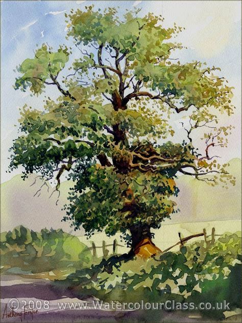 Watercolor (American English) or watercolour (Commonwealth and Ireland), also aquarell… | Tree ...