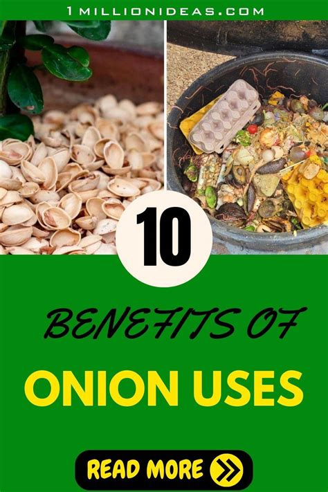 10 Onion Skin Uses That Will Make You Think Twice Before Throwing Them Away - Noudiv