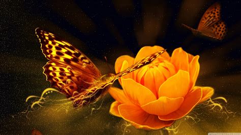 Magic Butterfly HD desktop wallpaper | HD Wallpapers