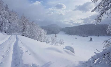 [PHOTOS] Winter Arrives with Stunning Snow Fall for Parts of Croatia ...