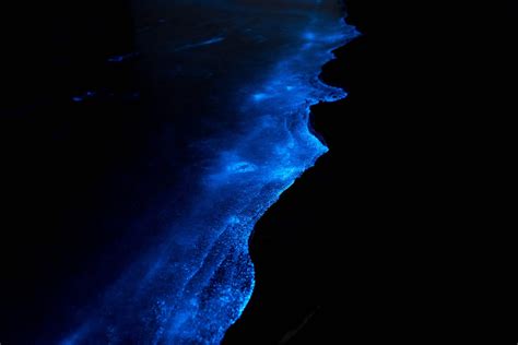 How to see bioluminescence in the ocean - Extreme Pursuit