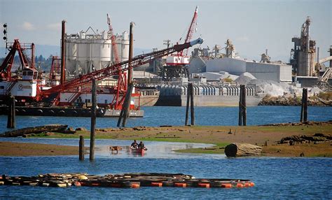 Seattle Sues Monsanto Over Toxic Waste Spill In Duwamish River