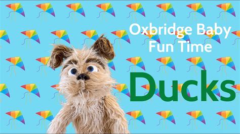 Oxbridge Baby Fun Time - Ducks - YouTube