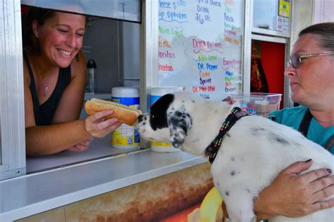 Franklin County opens new animal shelter