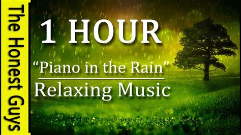 1 Hour Relaxing Music "Piano in the Rain" Gentle Piano Music with ...