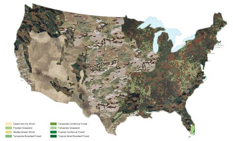 Military Camouflages Of The World - Brilliant Maps