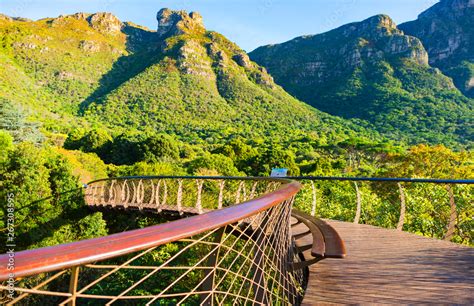 Kirstenbosch National Botanical Garden in Cape Town, South Africa Stock Photo | Adobe Stock